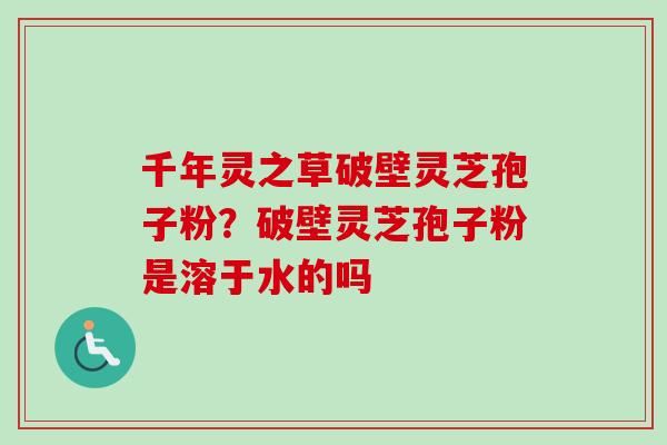 千年灵之草破壁灵芝孢子粉？破壁灵芝孢子粉是溶于水的吗