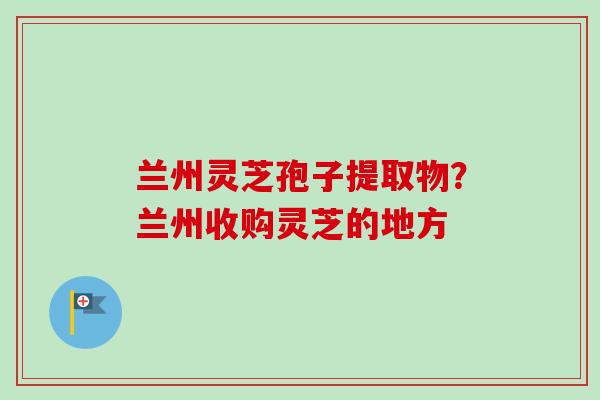 兰州灵芝孢子提取物？兰州收购灵芝的地方