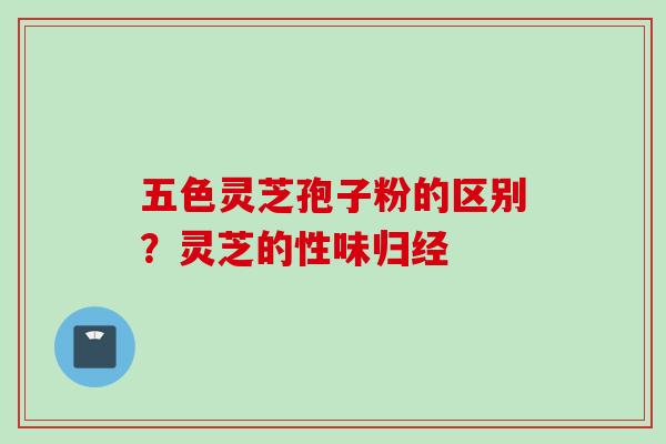 五色灵芝孢子粉的区别？灵芝的性味归经