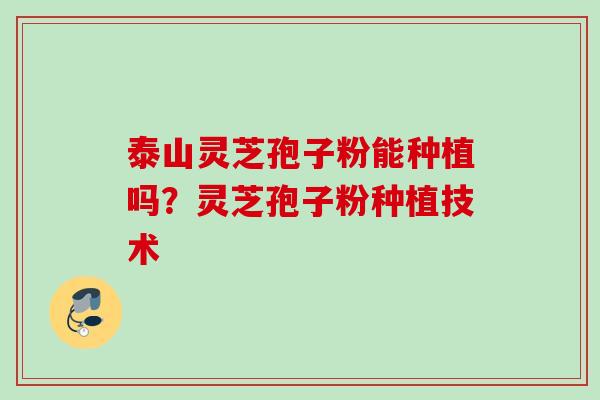 泰山灵芝孢子粉能种植吗？灵芝孢子粉种植技术