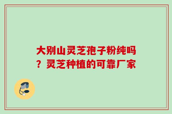 大别山灵芝孢子粉纯吗？灵芝种植的可靠厂家