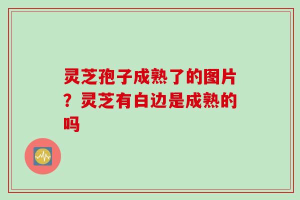 灵芝孢子成熟了的图片?灵芝有白边是成熟的吗 灵芝孢子成熟了的图片?灵芝有白边是成熟的吗