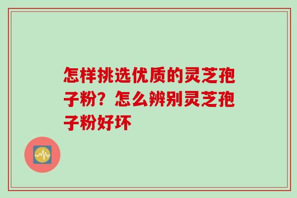 怎样挑选优质的灵芝孢子粉？怎么辨别灵芝孢子粉好坏