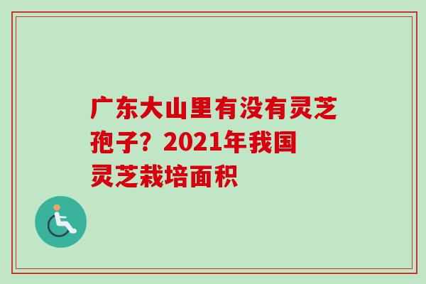 广东大山里有没有灵芝孢子？2021年我国灵芝栽培面积
