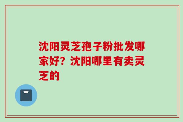 沈阳灵芝孢子粉批发哪家好？沈阳哪里有卖灵芝的