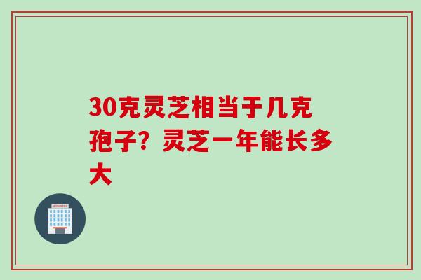30克灵芝相当于几克孢子？灵芝一年能长多大