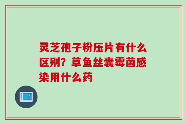 灵芝孢子粉压片有什么区别？草鱼丝囊霉菌感染用什么药
