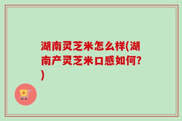 湖南灵芝米怎么样(湖南产灵芝米口感如何?) 湖南灵芝米怎么样(湖南产灵芝米口感如何?)