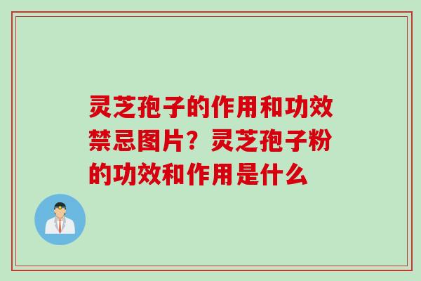灵芝孢子的作用和功效禁忌图片？灵芝孢子粉的功效和作用是什么
