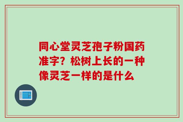 同心堂灵芝孢子粉国药准字?松树上长的一种像灵芝一样的是什么 同心堂灵芝孢子粉国药准字?松树上长的一种像灵芝一样的是什么
