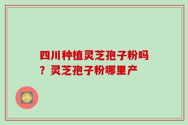 四川种植灵芝孢子粉吗？灵芝孢子粉哪里产