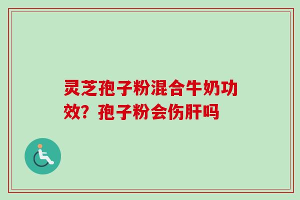 灵芝孢子粉混合牛奶功效？孢子粉会伤肝吗
