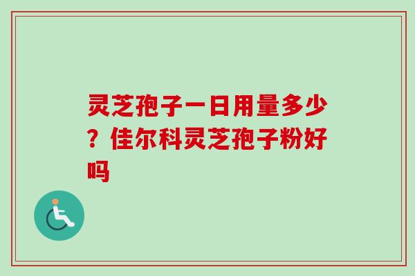 灵芝孢子一日用量多少？佳尔科灵芝孢子粉好吗