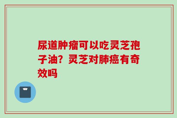 尿道肿瘤可以吃灵芝孢子油？灵芝对肺癌有奇效吗