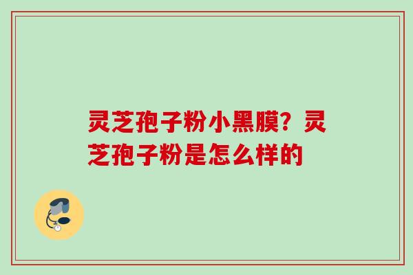 灵芝孢子粉小黑膜？灵芝孢子粉是怎么样的