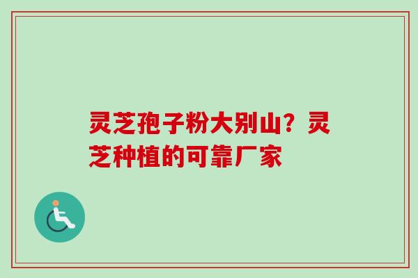 灵芝孢子粉大别山？灵芝种植的可靠厂家