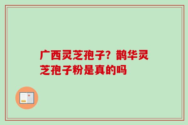 广西灵芝孢子？鹊华灵芝孢子粉是真的吗