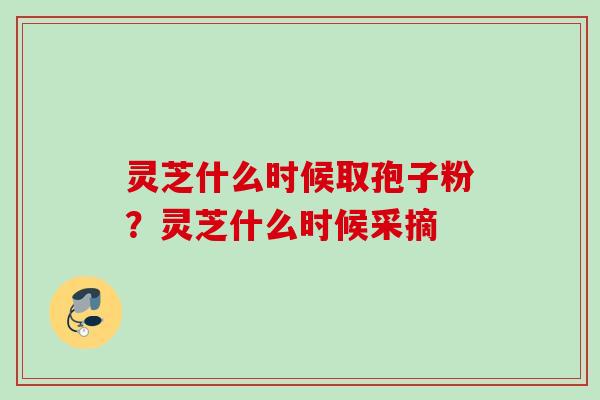 灵芝什么时候取孢子粉？灵芝什么时候采摘