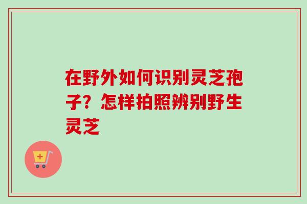 在野外如何识别灵芝孢子？怎样拍照辨别野生灵芝