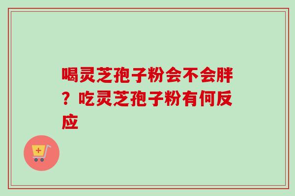 喝灵芝孢子粉会不会胖？吃灵芝孢子粉有何反应