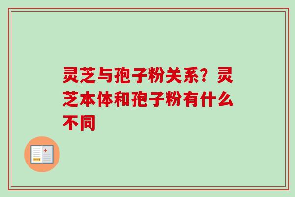 灵芝与孢子粉关系？灵芝本体和孢子粉有什么不同