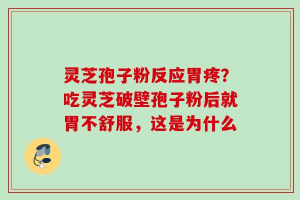 灵芝孢子粉反应胃疼？吃灵芝破壁孢子粉后就胃不舒服，这是为什么