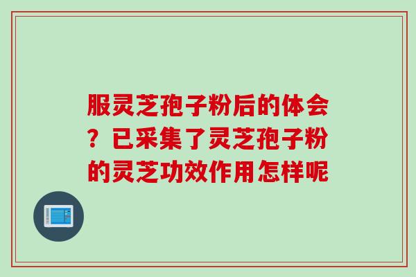 服灵芝孢子粉后的体会？已采集了灵芝孢子粉的灵芝功效作用怎样呢