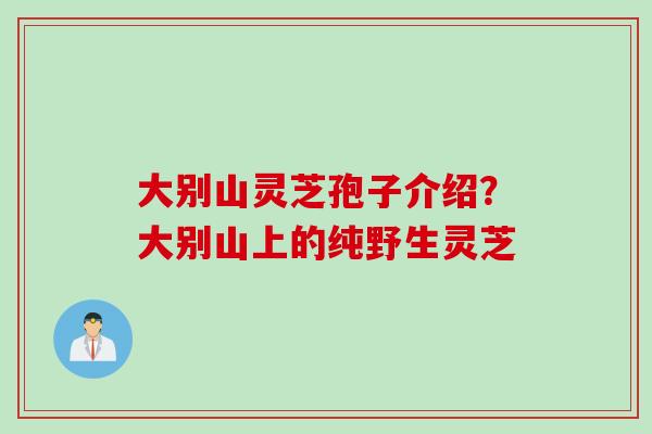 大别山灵芝孢子介绍？大别山上的纯野生灵芝
