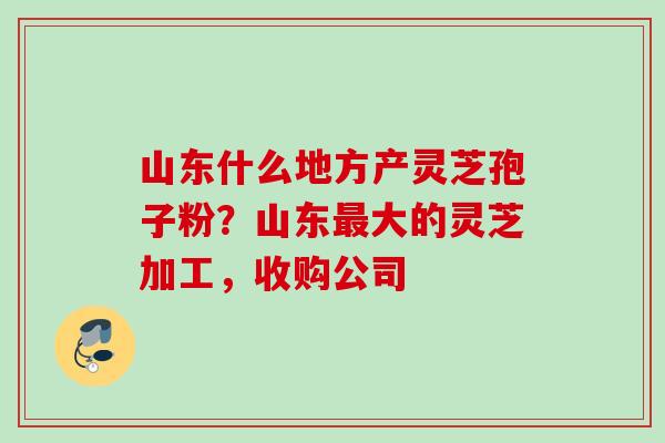 山东什么地方产灵芝孢子粉？山东最大的灵芝加工，收购公司