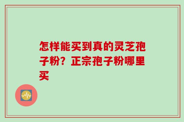 怎样能买到真的灵芝孢子粉？正宗孢子粉哪里买