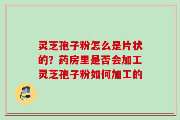 灵芝孢子粉怎么是片状的？药房里是否会加工灵芝孢子粉如何加工的