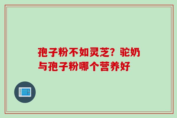 孢子粉不如灵芝？驼奶与孢子粉哪个营养好