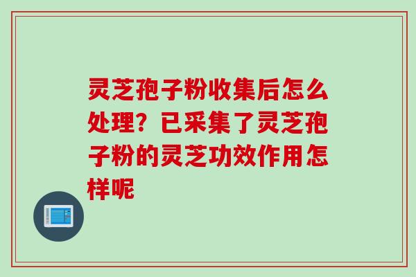 灵芝孢子粉收集后怎么处理？已采集了灵芝孢子粉的灵芝功效作用怎样呢