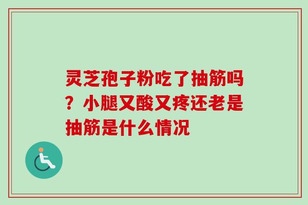 灵芝孢子粉吃了抽筋吗？小腿又酸又疼还老是抽筋是什么情况