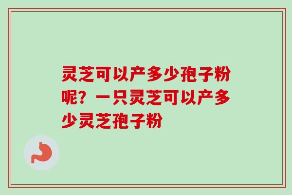灵芝可以产多少孢子粉呢？一只灵芝可以产多少灵芝孢子粉