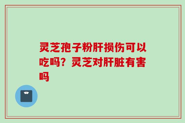 灵芝孢子粉肝损伤可以吃吗？灵芝对肝脏有害吗