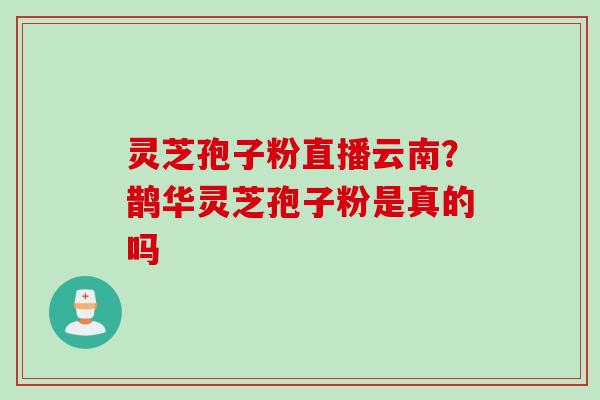 灵芝孢子粉直播云南？鹊华灵芝孢子粉是真的吗