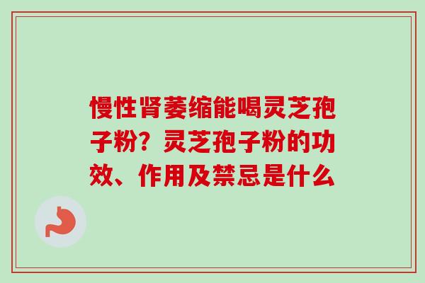 慢性肾萎缩能喝灵芝孢子粉？灵芝孢子粉的功效、作用及禁忌是什么
