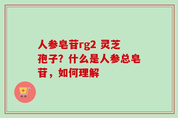 人参皂苷rg2 灵芝孢子?什么是人参总皂苷,如何理解 人参皂苷rg2 灵芝孢子?什么是人参总皂苷,如何理解
