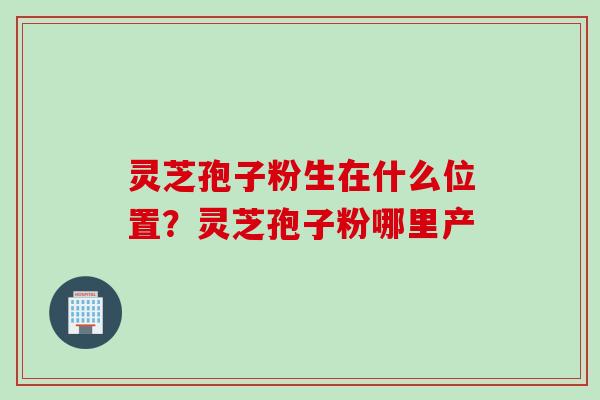 灵芝孢子粉生在什么位置？灵芝孢子粉哪里产
