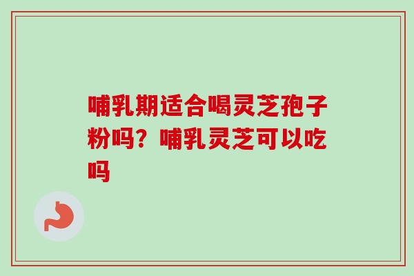 哺乳期适合喝灵芝孢子粉吗？哺乳灵芝可以吃吗