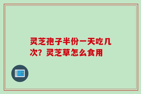 灵芝孢子半份一天吃几次？灵芝草怎么食用