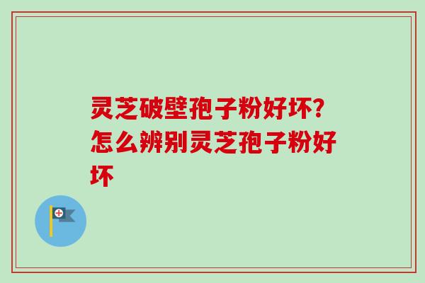 灵芝破壁孢子粉好坏？怎么辨别灵芝孢子粉好坏