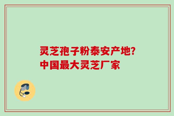 灵芝孢子粉泰安产地？中国最大灵芝厂家