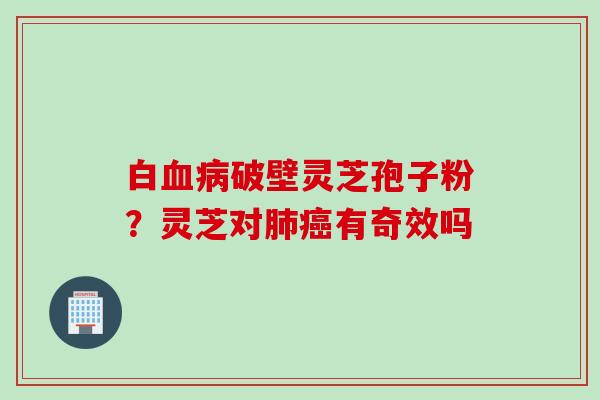 白血病破壁灵芝孢子粉？灵芝对肺癌有奇效吗