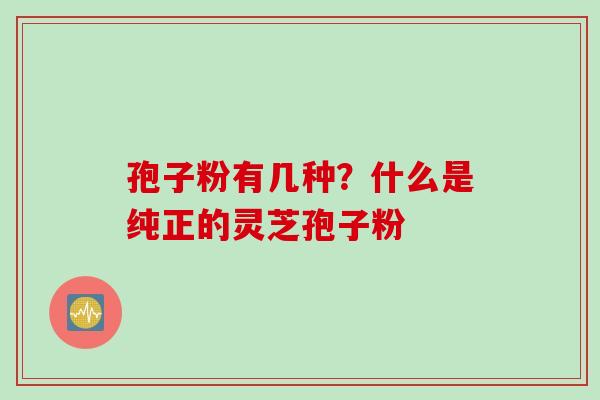 孢子粉有几种？什么是纯正的灵芝孢子粉