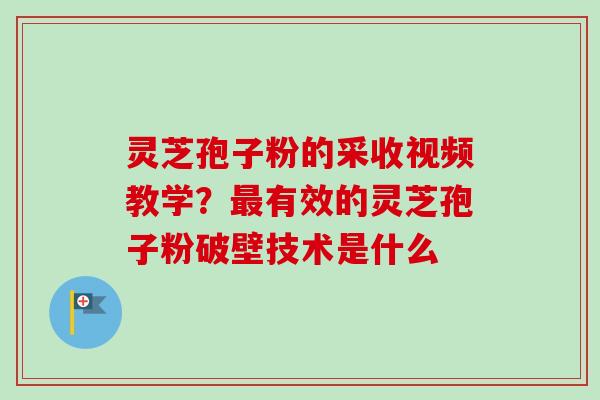 灵芝孢子粉的采收视频教学？最有效的灵芝孢子粉破壁技术是什么