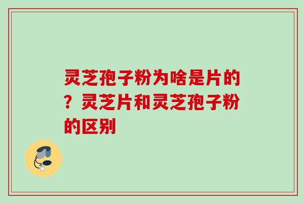 灵芝孢子粉为啥是片的？灵芝片和灵芝孢子粉的区别