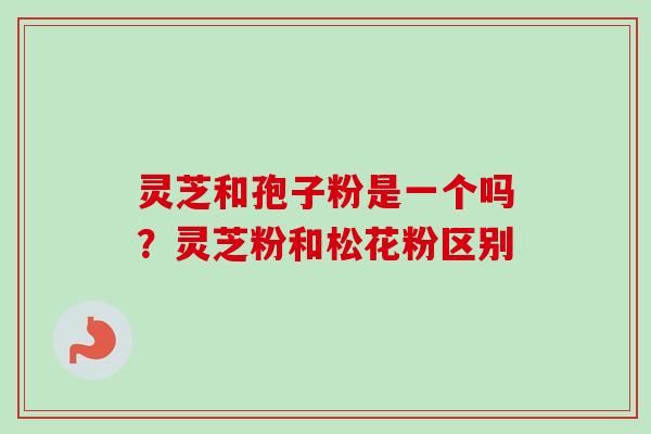灵芝和孢子粉是一个吗？灵芝粉和松花粉区别