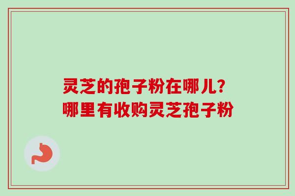 灵芝的孢子粉在哪儿？哪里有收购灵芝孢子粉
